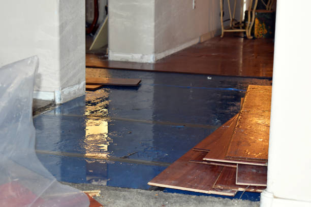 Professional Burst Pipe Cleanup technician working in Lenexa, KS