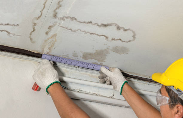 Reliable Burst Pipe Cleanup contractor in Lenexa, KS by Local Water Damage Repair
